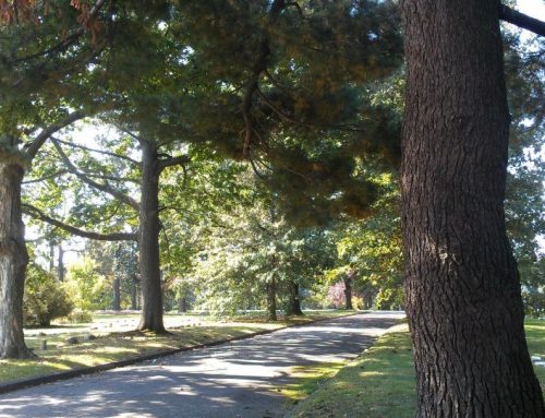 Green Reasons For Considering Human Composting